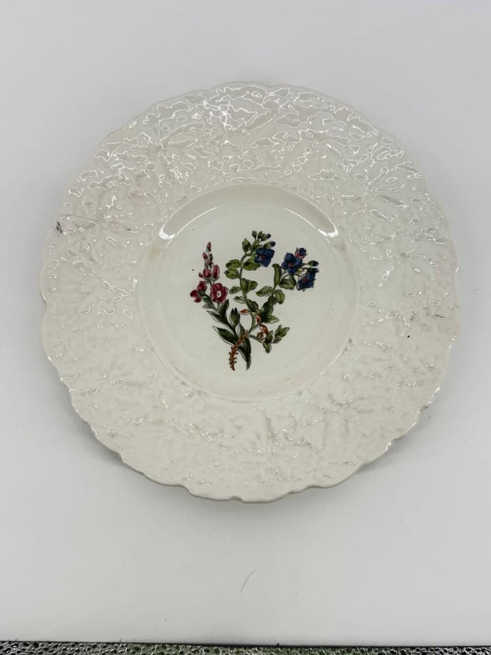 Royal Cauldon Bristol Ironstone Woodstock "Speedwell" 9 1/4" Plate w/ Flaw